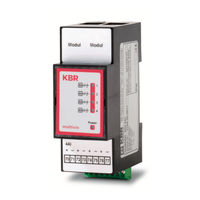 KBR multisio D2-4AI-2 User Manual