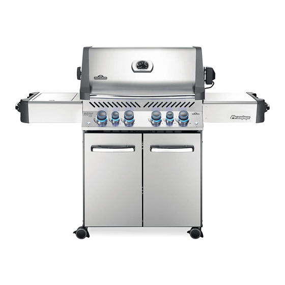 Napoleon P500RSIBPCH-3 Manual