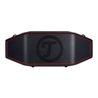 Teufel ROCKSTER CROSS Technical Description And User Manual