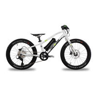 ben-e-bike TWENTYSIX E-POWER PRO User Manual