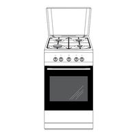 Amica 507GG Series Instruction Manual