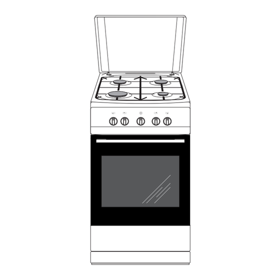 Amica 507GG Series Instruction Manual