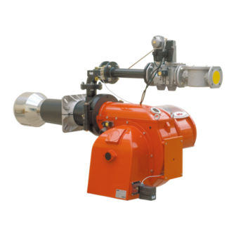 baltur BGN 250 DSPGN ME Instruction Manual
