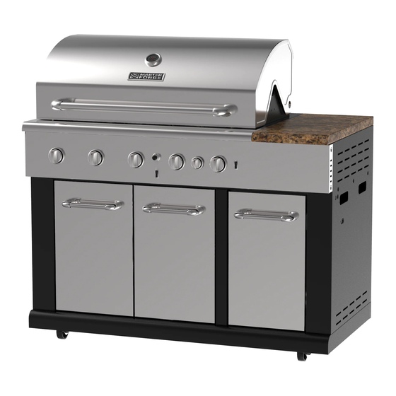 Master forge 6 burner grill hotsell