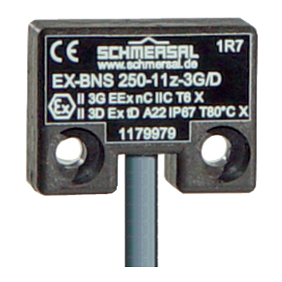 schmersal EX-BNS 250 Operating Instructions Manual
