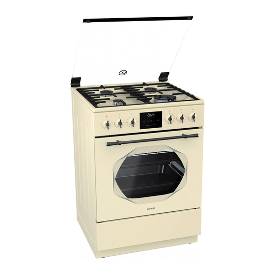 Gorenje INFINITY K63INI Manuals