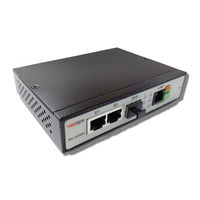 netsys NV-320DP User Manual