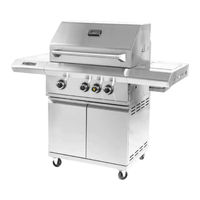 Victory BBQ-VCT3BSB-LP Owner's Manual