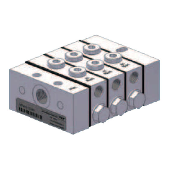 Lincoln SKF VP Series Manual