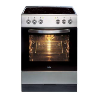Amica 601EE1.37YFG Instruction Manual
