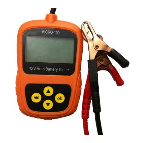 Lancol MICRO-100 User Manual