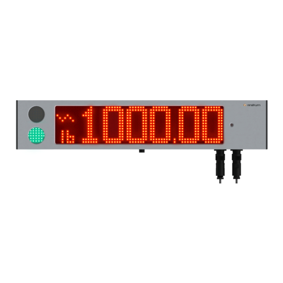 Rinstrum D841 Installation Manual