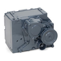BLACKMER GDP 208 Additional Installation, Operation And Maintenance Instructions