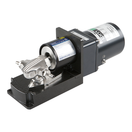 IWAKI PUMPS Hicera V Series Instruction Manual