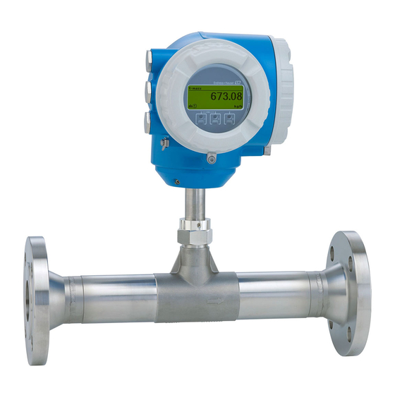 Endress+Hauser Proline 300 Brief Operating Instructions