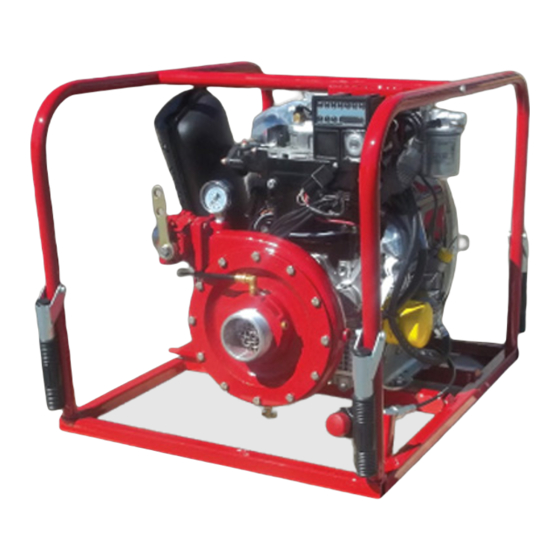 CET PFP-19hp-DSL-AFL Instruction Manual