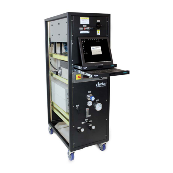MKS 2480HS Installation & Use Manual