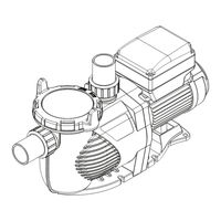 Rheem Raypak RPVSP1 Installation And Operation Manual