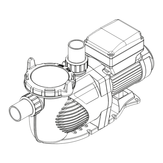 Rheem Raypak RPVSP1 Installation And Operation Manual