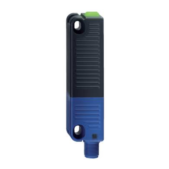 schmersal RSS 36-I2-D-ST Manual