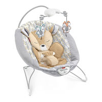 Fisher-Price GNG39 Owner's Manual