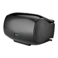 cabstone SoundBox User Manual