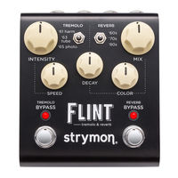 Strymon Flint User Manual