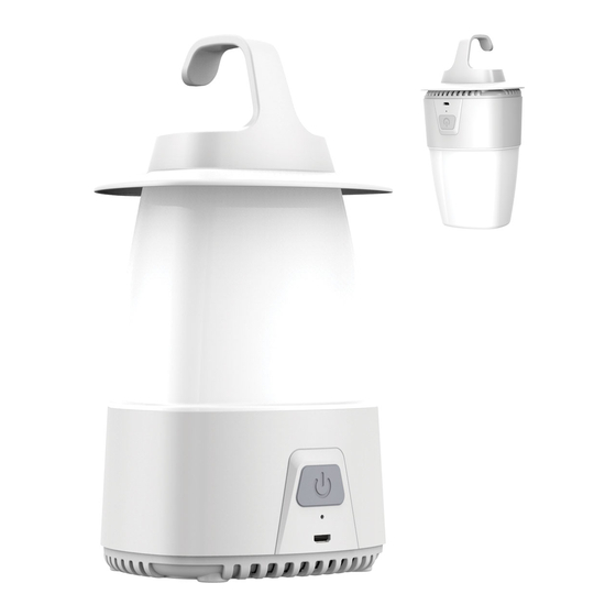 User Manuals: Protect KN-L6818LA LED Lantern
