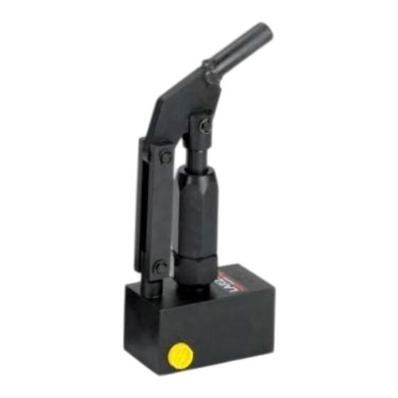 Larzep WI100 Instruction Manual