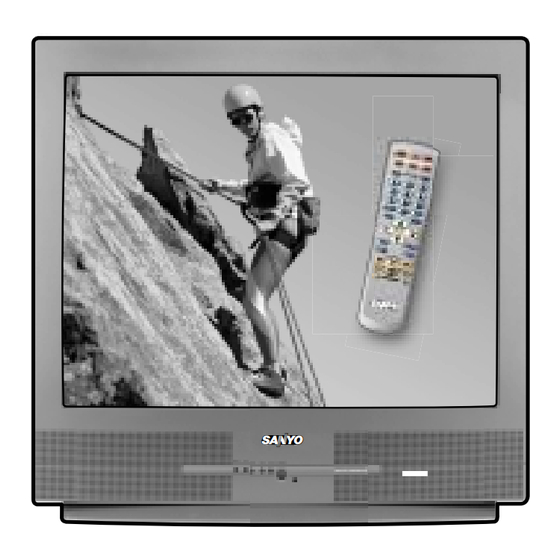 Sanyo DS31520 Owner's Manual