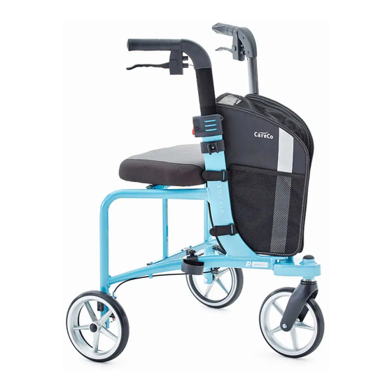 CareCo proLite VISAGE User Manual
