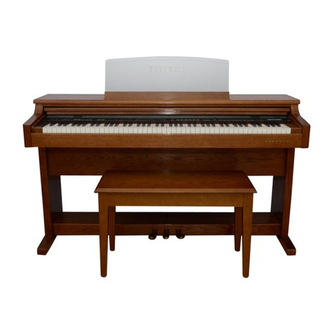 Kurzweil MARK 12 V2.0 - ADDENDUM User Manual