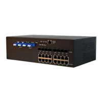 Comnet CNGE20MS Installation And Operation Manual