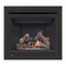 Indoor Fireplace Napoleon B36NTR Installation And Operating Instructions Manual