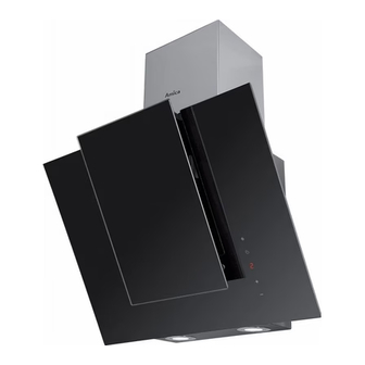Amica SKZ 656 BBG Manuals