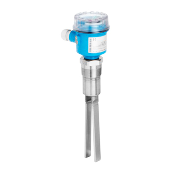 Endress+Hauser Soliphant M Manual