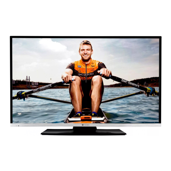 Gogen TVF43R384STWEB Instruction Manual