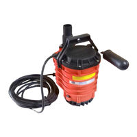 BJM Pumps PERFECTA Pump IGF32 Installation, Operation & Maintenance Manual