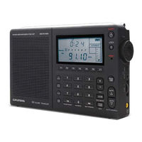 Grundig Globe Traveler G3 Datasheet