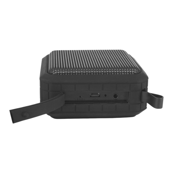 Peaq PPA34BT-B User Manual
