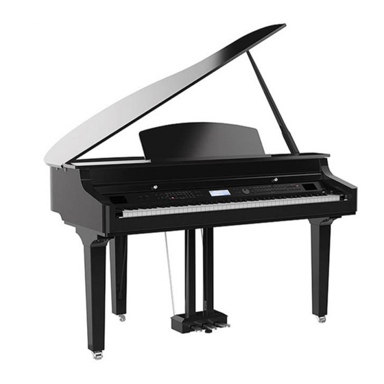 FAME Grand 3100 User Manual