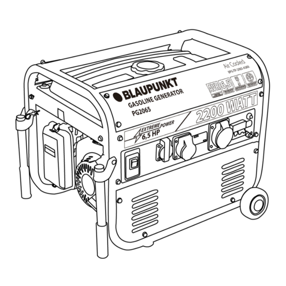 Blaupunkt BPG-TP-2065-A38X Instruction Manual