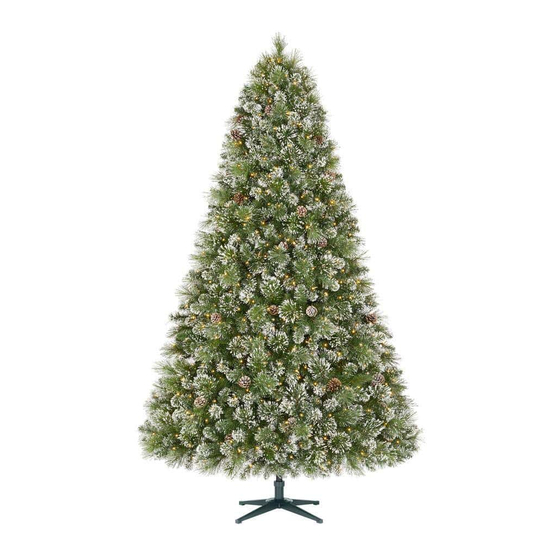 Home Accents Holiday 23PG90019 Manual