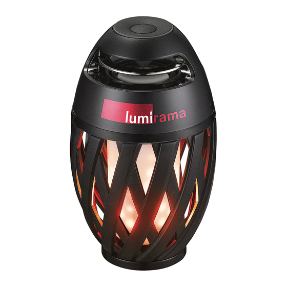 Lumirama 6310-81SP-BLK Instruction Sheet