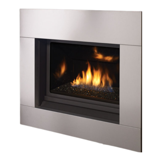 Regency Fireplace Products Horizon HZ33CE-NG10 Owners & Installation Manual