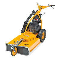 AS MOTOR Allmaher AS 65 4T B&S Operator's Manual
