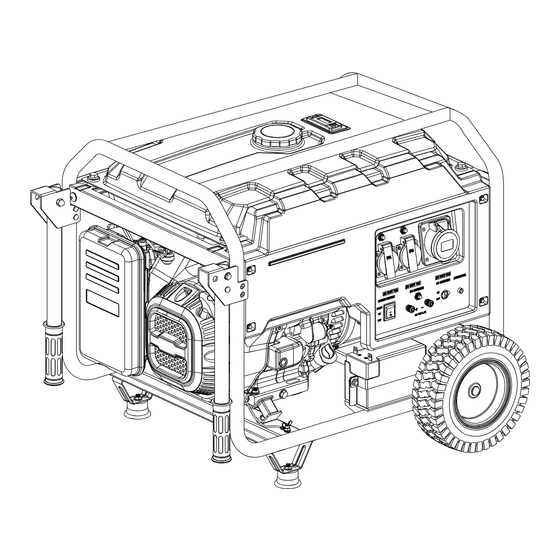 Gesan P3000 Owner's Manual