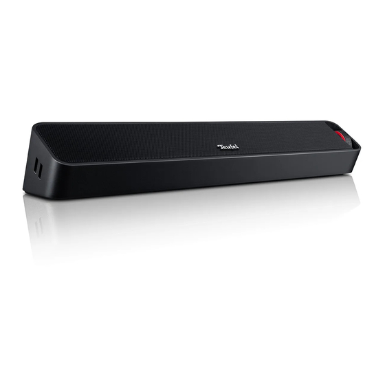 Teufel BAMSTER Technical Description And User Manual