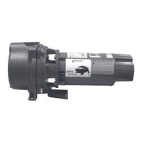 Xylem GOULDS GT IRRI-GATOR IM049R08 Instruction Manual