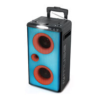 Muse M-1928 DJ User Manual